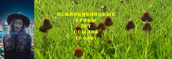 сатива Алзамай