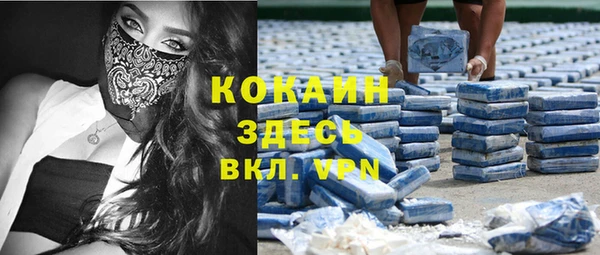 сатива Алзамай