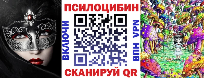 Псилоцибиновые грибы Cubensis  Новоуральск 